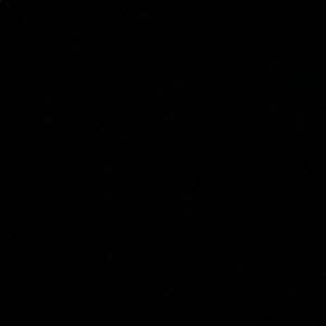 Meet your Posher, Riana